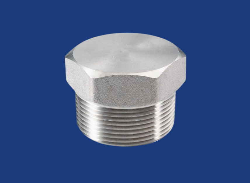 SS HEX PLUG